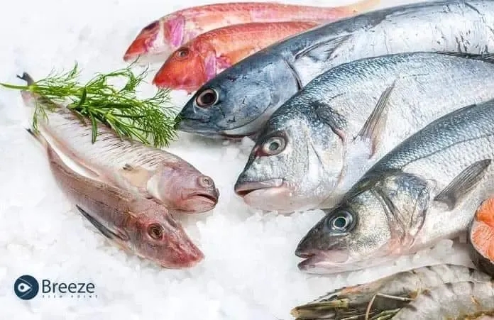 The Pakistan Fishing Industry