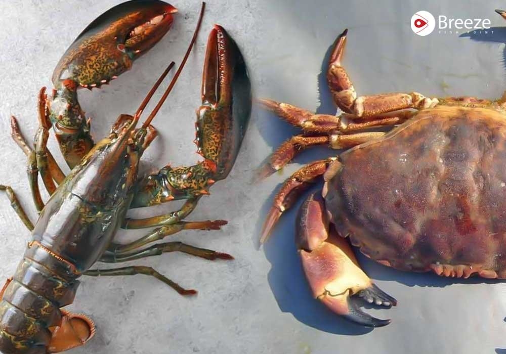 Is Seafood Like Lobster & Crab Halal or Haram in Islam? Scholarly Views Explained