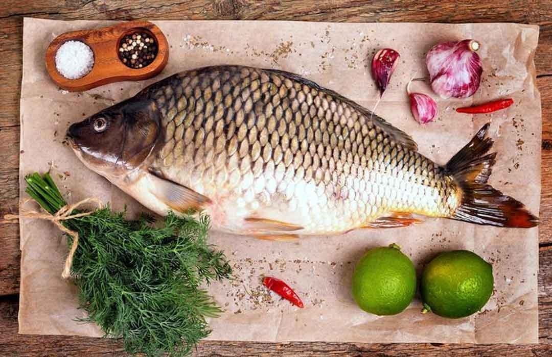Rohu Fish: Things You Should Know